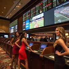 2233 bet 2233 bet